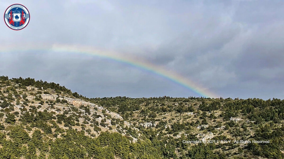 edny_header