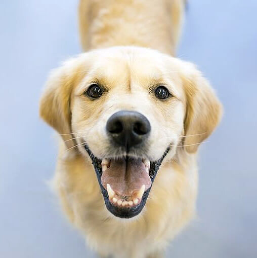 Για τους καλούς μας φίλους